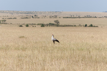 Similar image 7735474