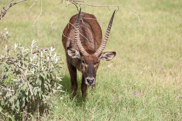 Similar image 7735505