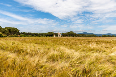 Similar image 7735540