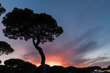 Similar image 7735557