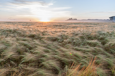 Similar image 7735559