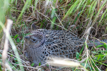 Similar image 7735575