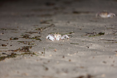 Similar image 7735591