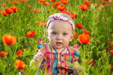 Similar image 7735644