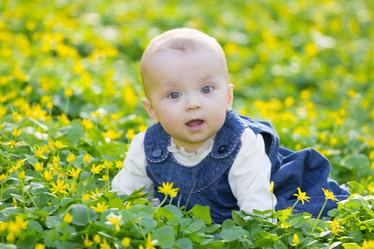 Similar image 7735645