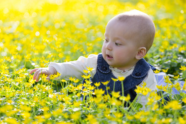 Similar image 7735646