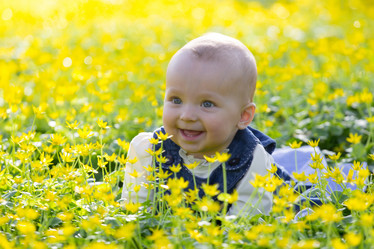 Similar image 7735647