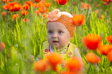 Similar image 7735671