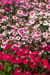 Similar image 7735676