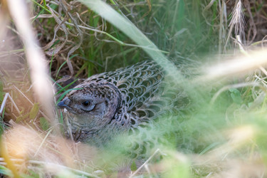 Similar image 7735694