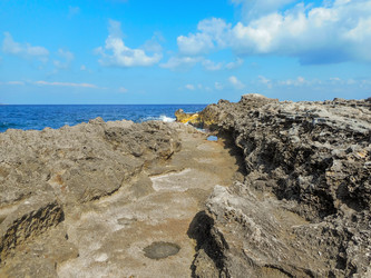 Similar image 7735741