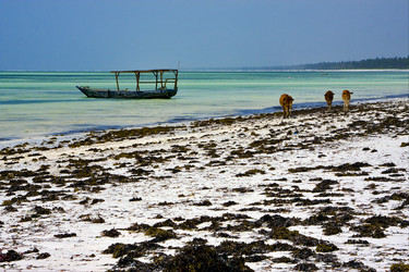 Similar image 7735754