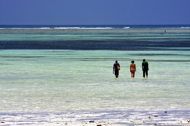 Similar image 7735757