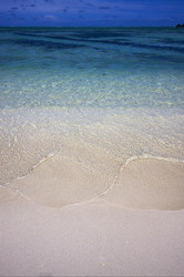 Similar image 7735763