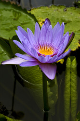 Similar image 7735764