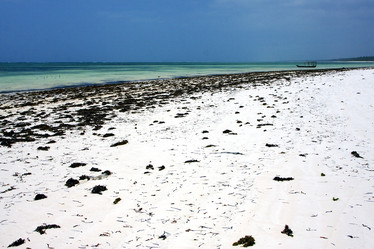 Similar image 7735779