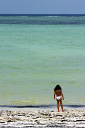 Similar image 7735781