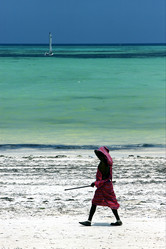 Similar image 7735786