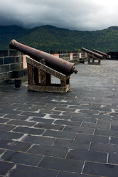 Similar image 7735825