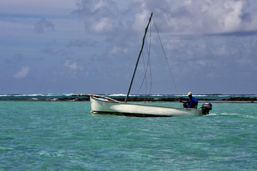 Similar image 7735836