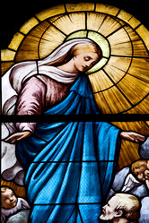 Similar image 7735988