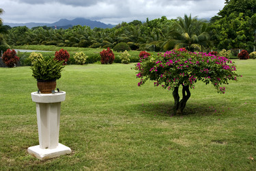 Similar image 7736021