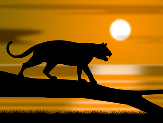 Similar image 7736077