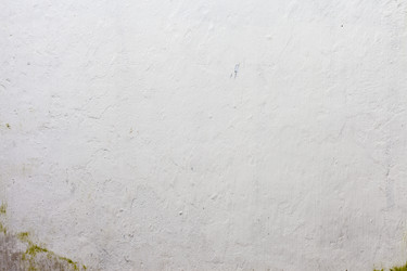 Similar image 7736403