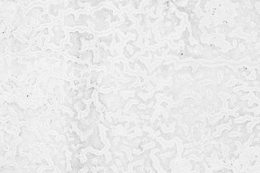 Similar image 7736404