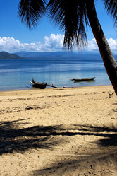 Similar image 7736413