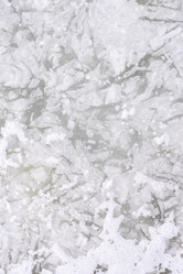 Similar image 7736433