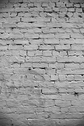 Similar image 7736571