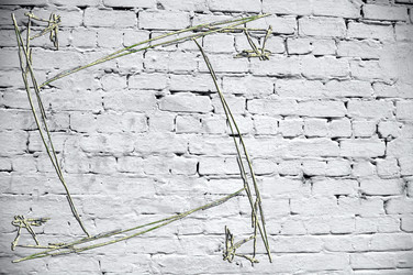 Similar image 7736594