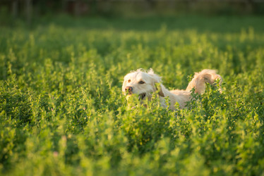 Similar image 7736892