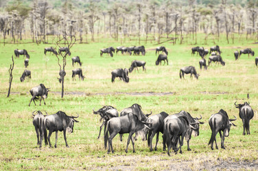 Similar image 7736943