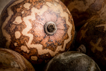 Similar image 7736950