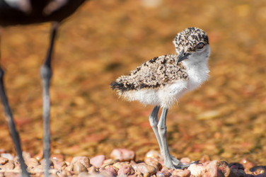 Similar image 7736951