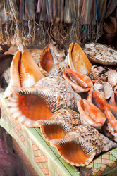 Similar image 7736952