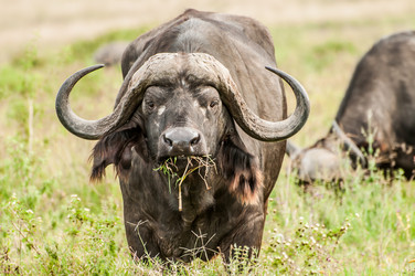 Similar image 7737002