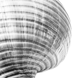 Similar image 7737003