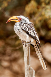 Similar image 7737012