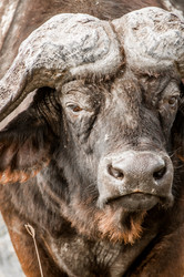 Similar image 7737016