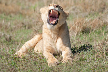 Similar image 7737019