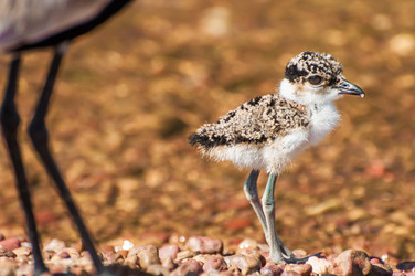 Similar image 7737027