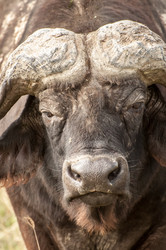 Similar image 7737028