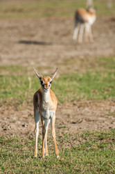 Similar image 7737029