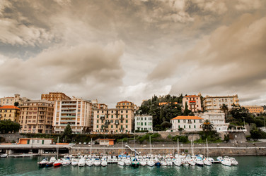 Similar image 7737042