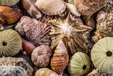 Similar image 7737044