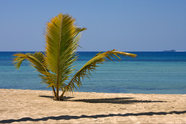 Similar image 7747991