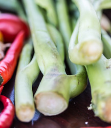 Similar image 7748019